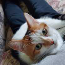 Thumbnail photo of Rainbow #3