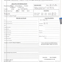 Thumbnail photo of Flossie #2