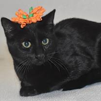 Thumbnail photo of Flossie #3