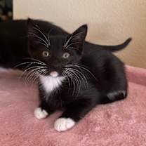 Thumbnail photo of Wednesday #1