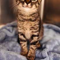 Thumbnail photo of Ravioli #1