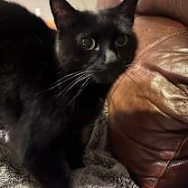 Thumbnail photo of Delaney #2