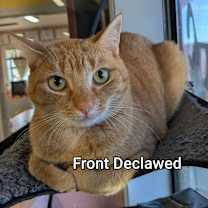 Thumbnail photo of Alberta #1