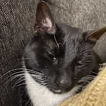 Thumbnail photo of Tucker #4