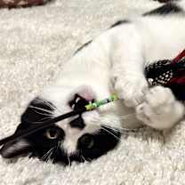 Thumbnail photo of Eliot #3