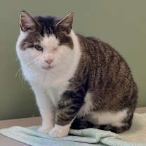 Thumbnail photo of Jack #1