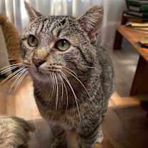 Thumbnail photo of Bob #3