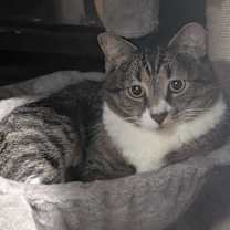 Thumbnail photo of Precious #1