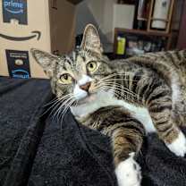 Thumbnail photo of Precious #3