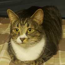 Thumbnail photo of Precious #4