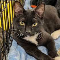 Thumbnail photo of Abigail 2025 #1