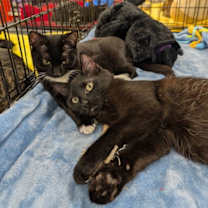 Thumbnail photo of Abigail 2025 #3