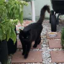 Thumbnail photo of Nevada #2