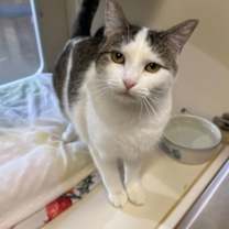 Thumbnail photo of Charlotte #1