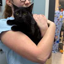 Thumbnail photo of Wallace #3