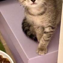 Thumbnail photo of Twitter #1