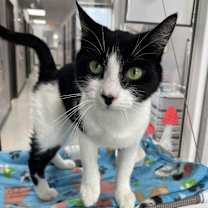 Thumbnail photo of Lani #3