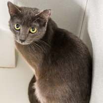 Thumbnail photo of Cindy Lou #3