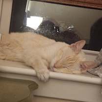 Thumbnail photo of Eclipse #4