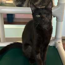 Thumbnail photo of Mimi #2