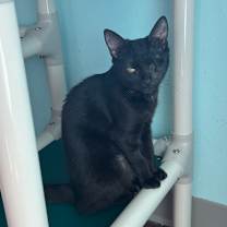 Thumbnail photo of Mimi #3