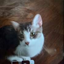 Thumbnail photo of Grayson #2