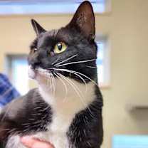 Thumbnail photo of Hope #1