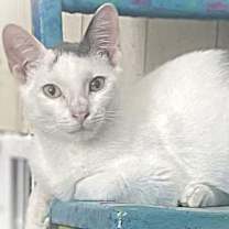 Thumbnail photo of Kalahari #1