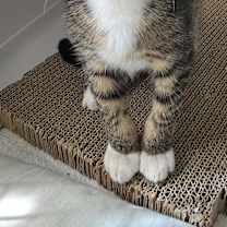 Thumbnail photo of Spencer #1