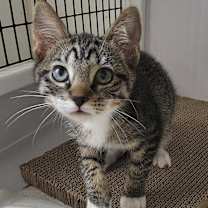 Thumbnail photo of Spencer #4