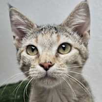 Thumbnail photo of Jane 4903 #1