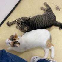 Thumbnail photo of Muneco #2