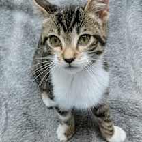 Thumbnail photo of Rupert #1