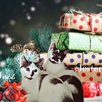 Thumbnail photo of Jewel #2