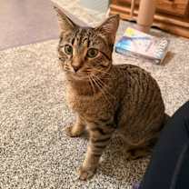 Thumbnail photo of Mylo #3