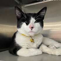 Thumbnail photo of Kenan #1