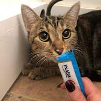 Thumbnail photo of Baby Girl #4