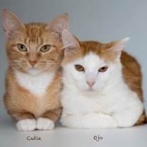 Thumbnail photo of Cutie #2