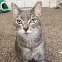 Thumbnail photo of Maggie #1