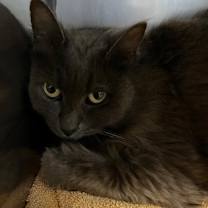 Thumbnail photo of Hailey #1