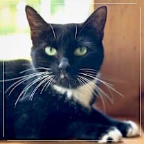 Thumbnail photo of Queen #1