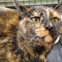 Thumbnail photo of Kenzie #2