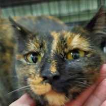 Thumbnail photo of Kenzie #3