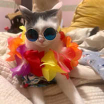 Thumbnail photo of Donut #3