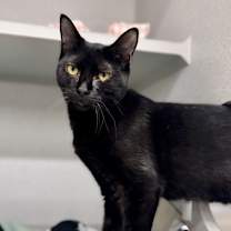 Thumbnail photo of Maurie #3