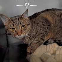 Thumbnail photo of Birdie #2