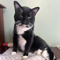 Thumbnail photo of James Pawned #1