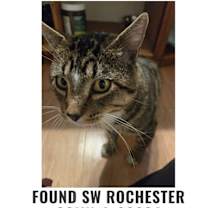 Thumbnail photo of Nimbus #4