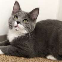 Thumbnail photo of Bun Bun #2