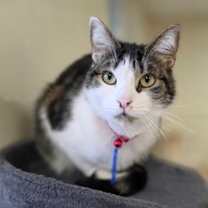 Thumbnail photo of Spotty #1